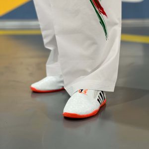 خرید کفش تکواندو ارزان