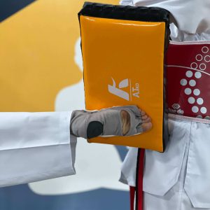 قیمت میت بالشتی تکواندو ارزان